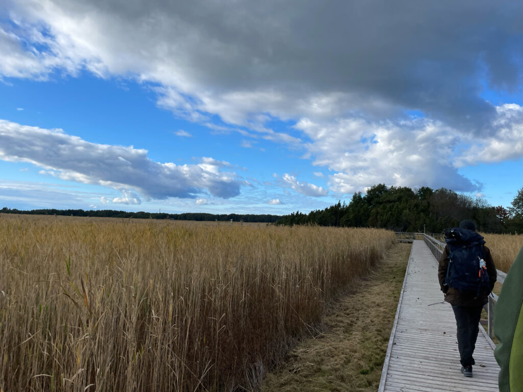 Orjaku Study Trail